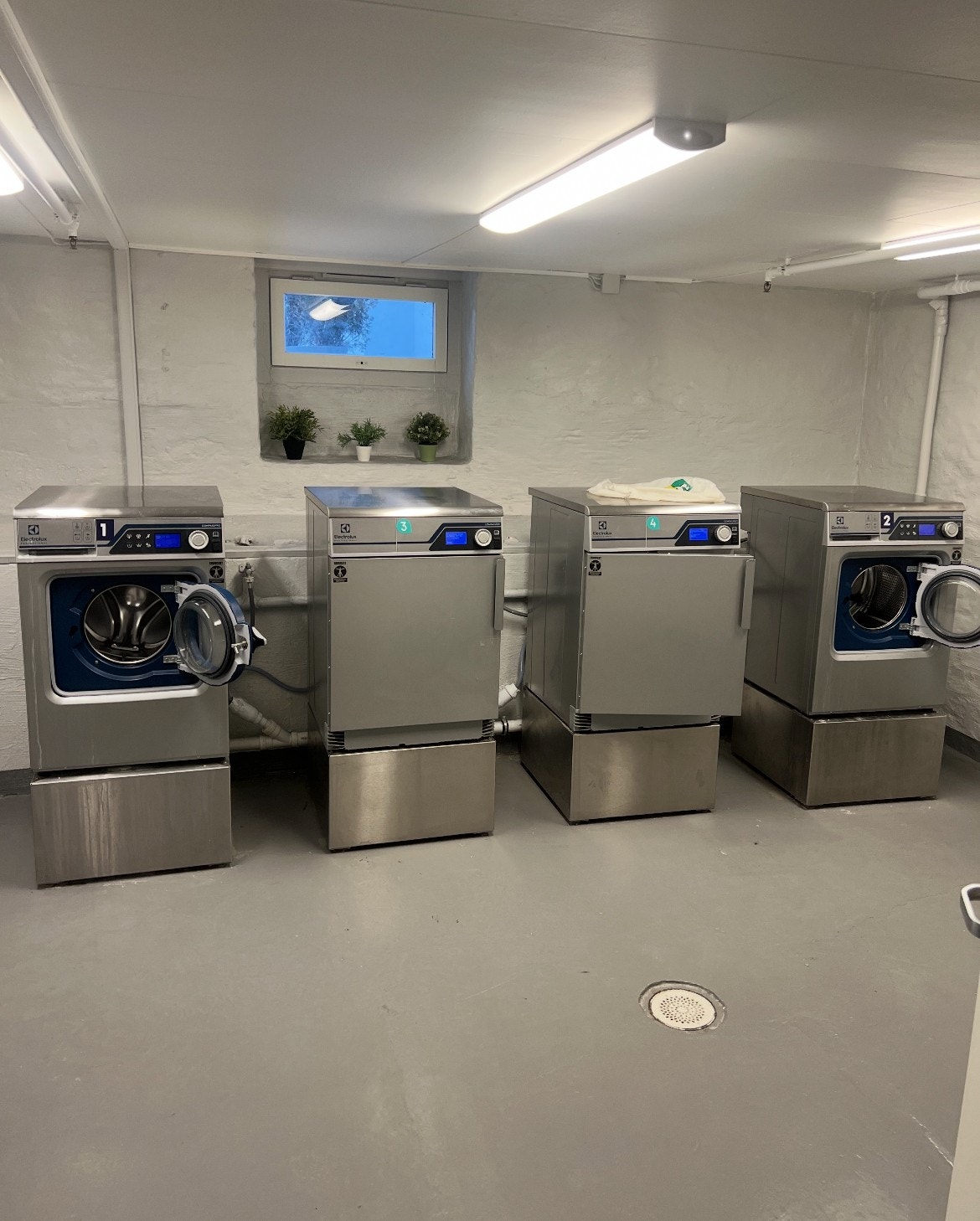 Vaskeri i kjeller. Galleribilde