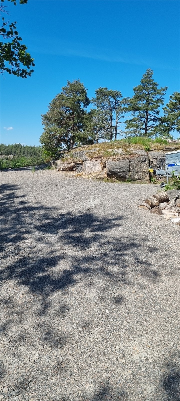 Tomten. Galleribilde