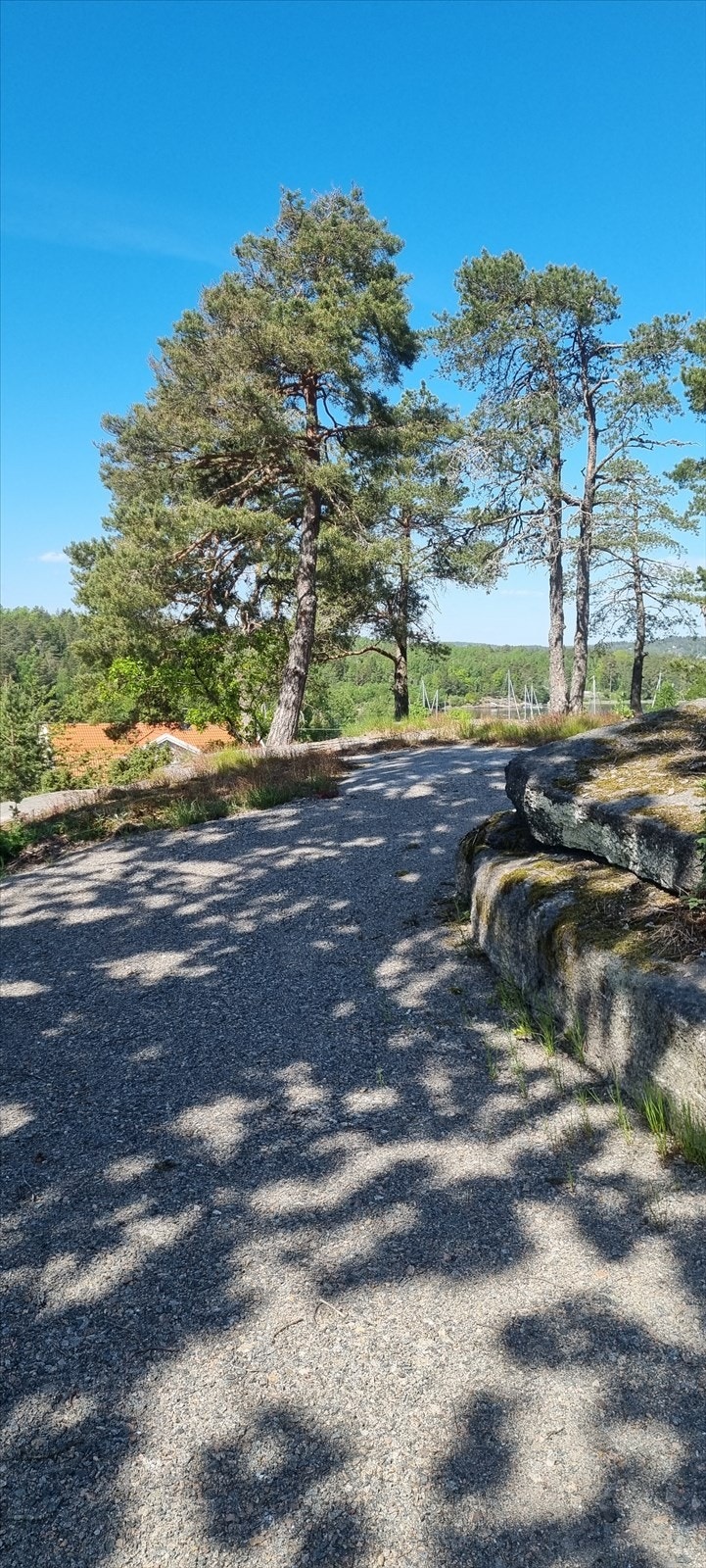 Det er kort vei til båthavn, hvor det kan være mulighet for å leie båtplass i Mågerø Marina. Galleribilde