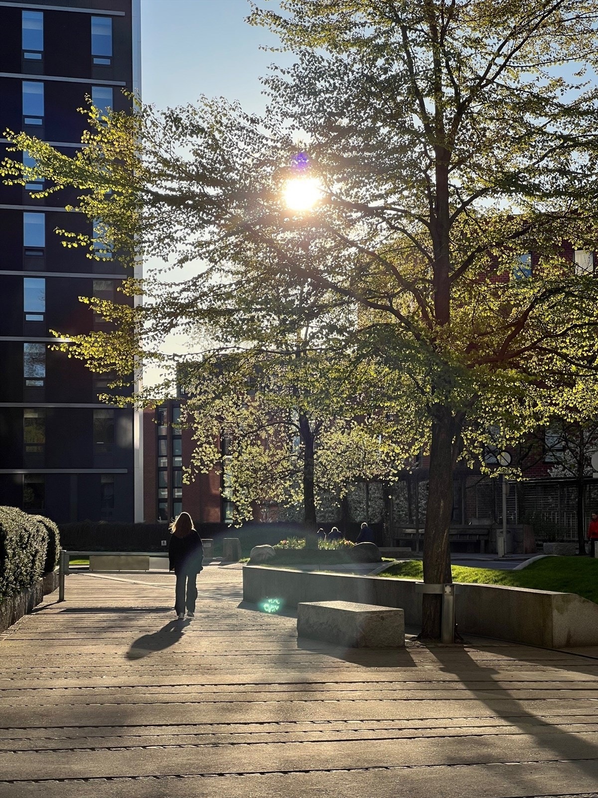 Selgers bilde. Galleribilde