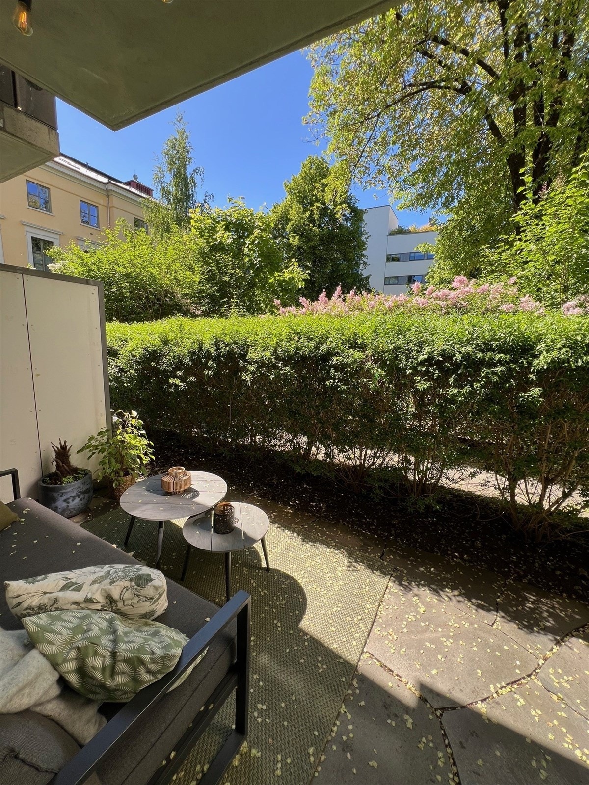 Selgers bilde - Om sommeren er terrassen frodig og flott. Den grønne hekken hindrer innsyn fra naboer. Galleribilde