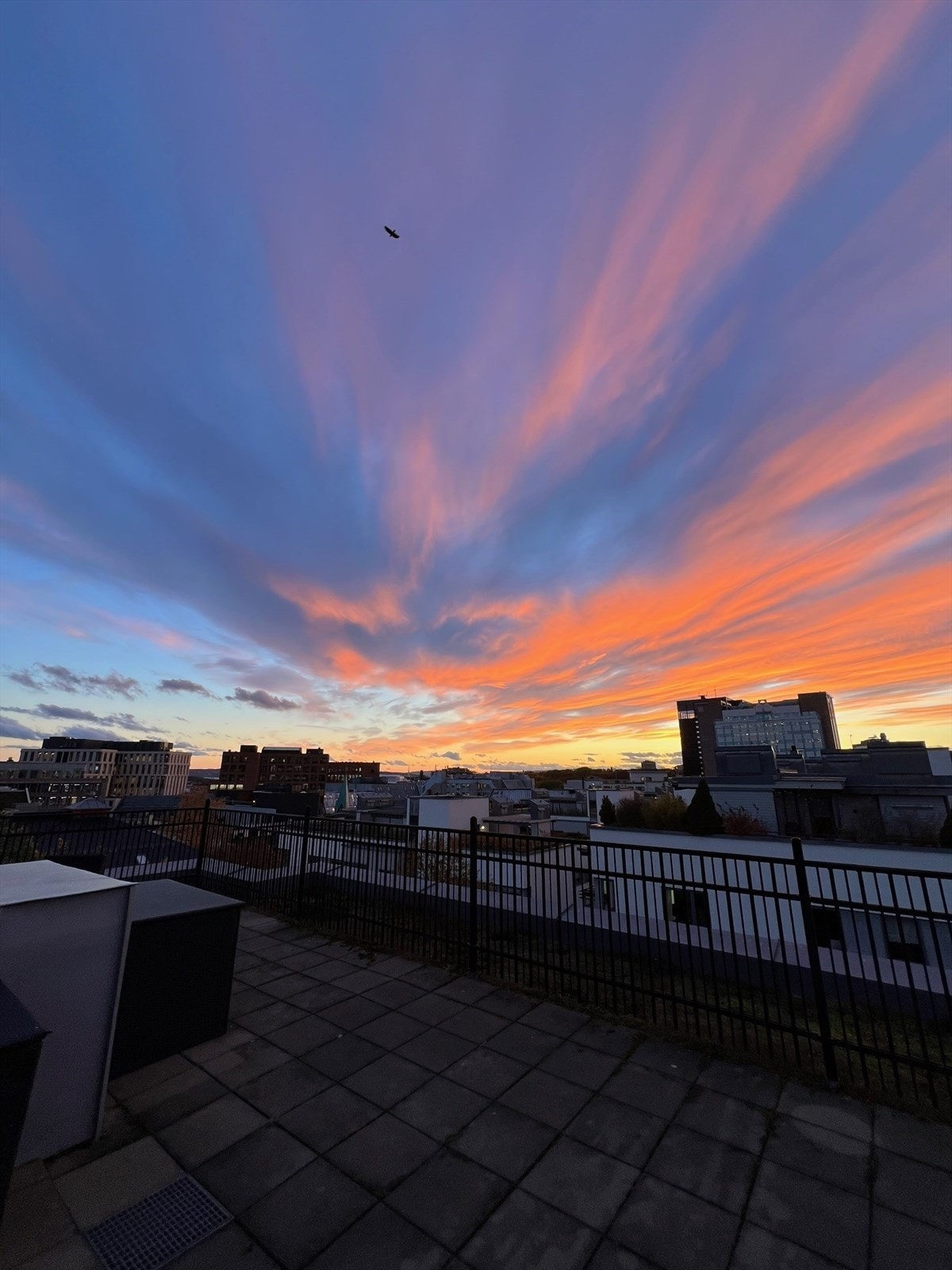 Selgers bilde - Nyt vakre solnedganger! Galleribilde