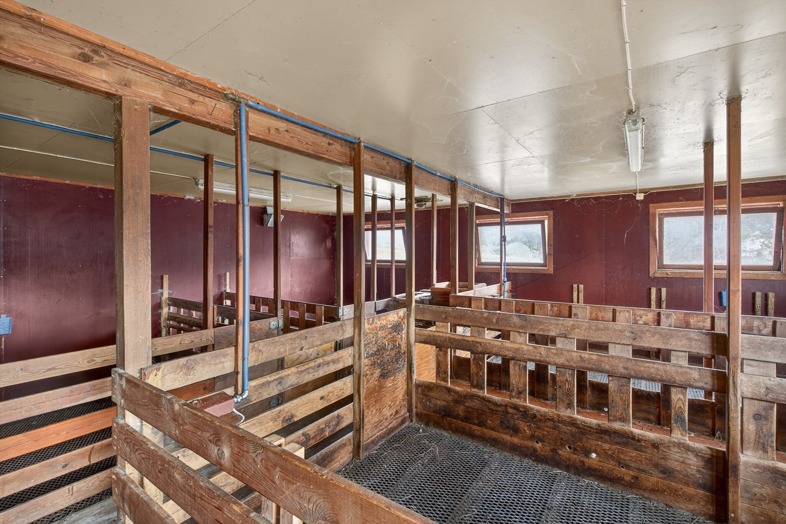 Bygningen er innredet for sauehold med kapasitet på ca. 25 vinterfôrede dyr Galleribilde