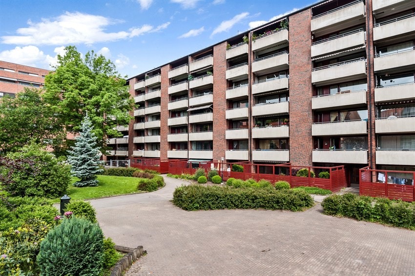 Sameiets bakgård er frodig og grønn. Galleribilde