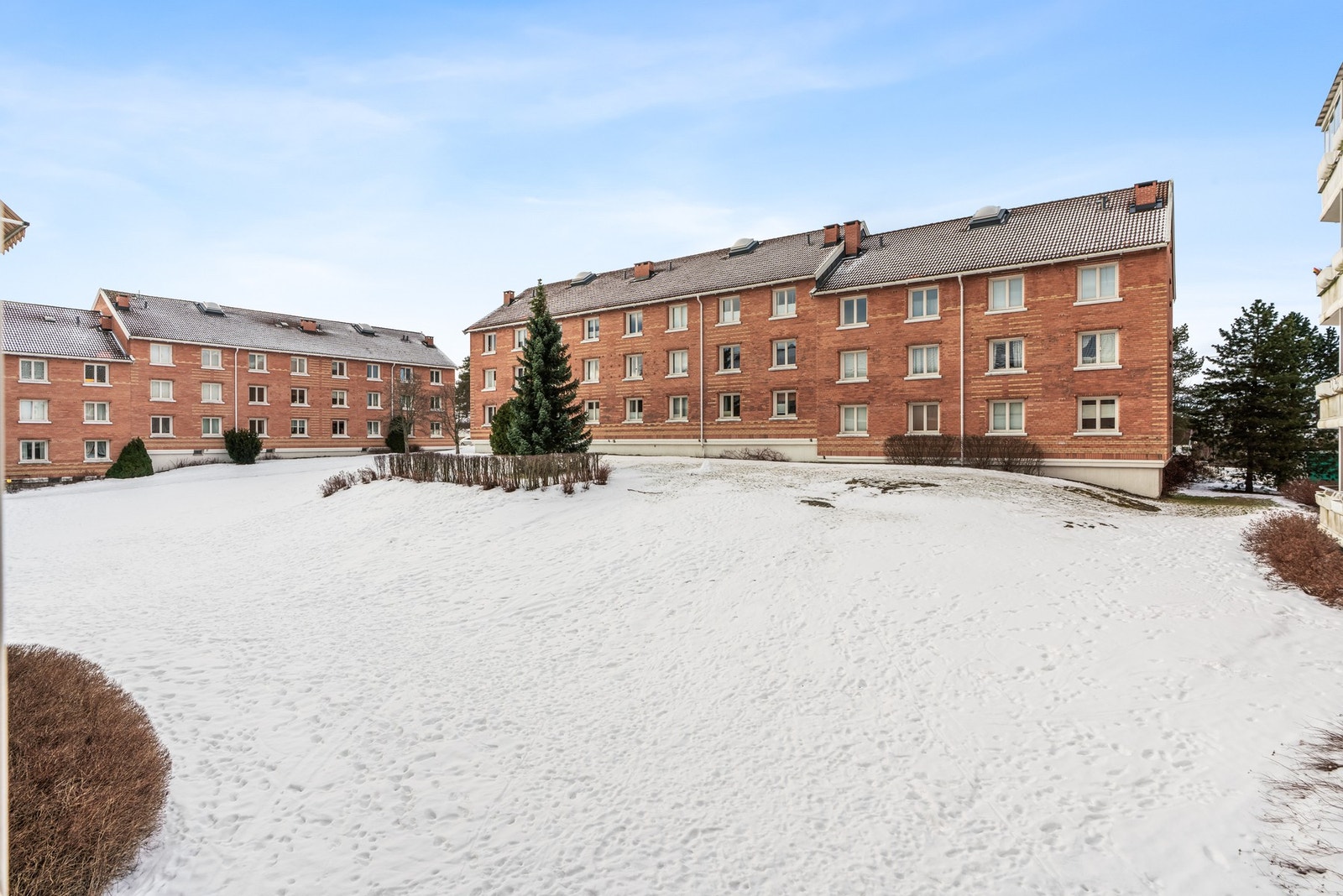 Bilder fra uteområdet. Galleribilde