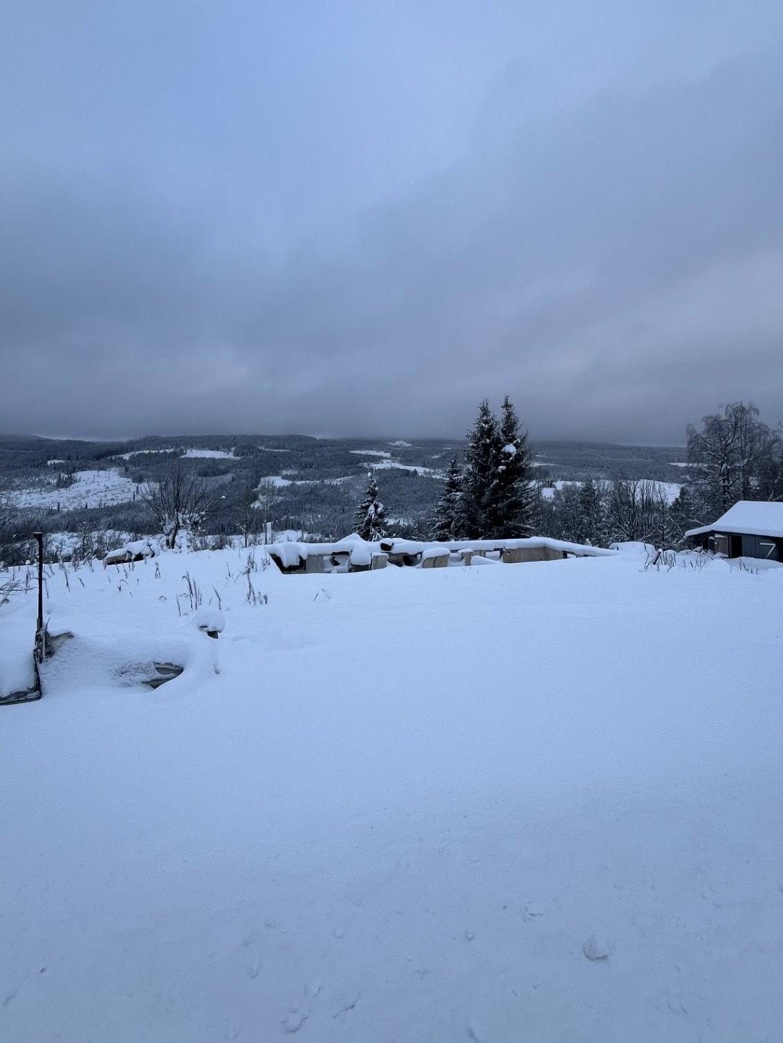 Tomten har god utsikt. Galleribilde