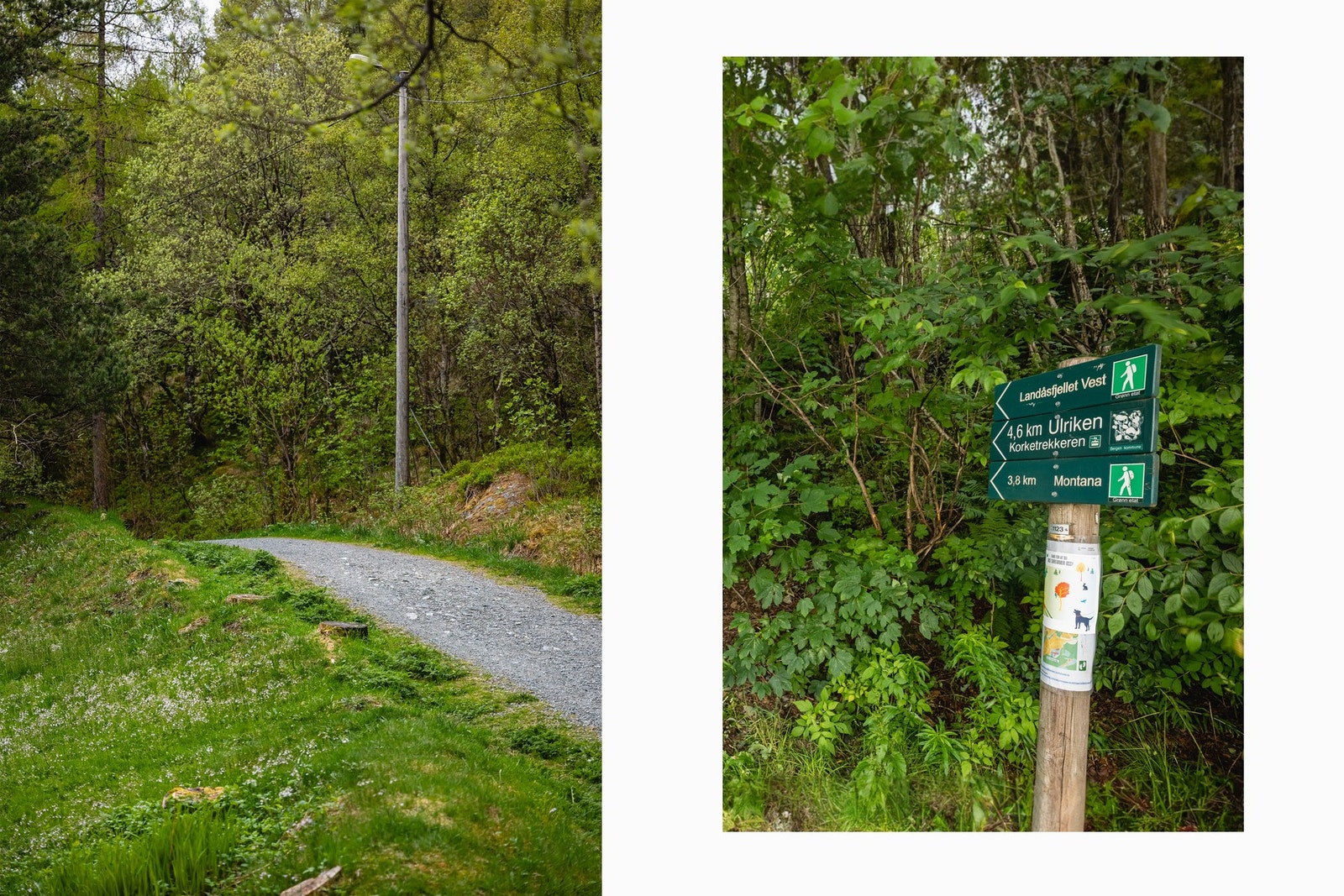 Flere flotte turmuligheter like utenfor døren, hva med å legge søndagsturen til Ulriken? Galleribilde