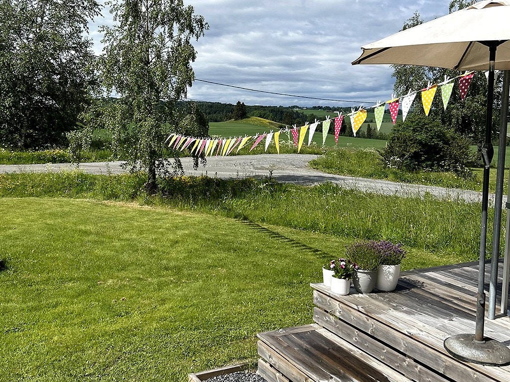 Selgers egne bilder fra sommeren. Galleribilde