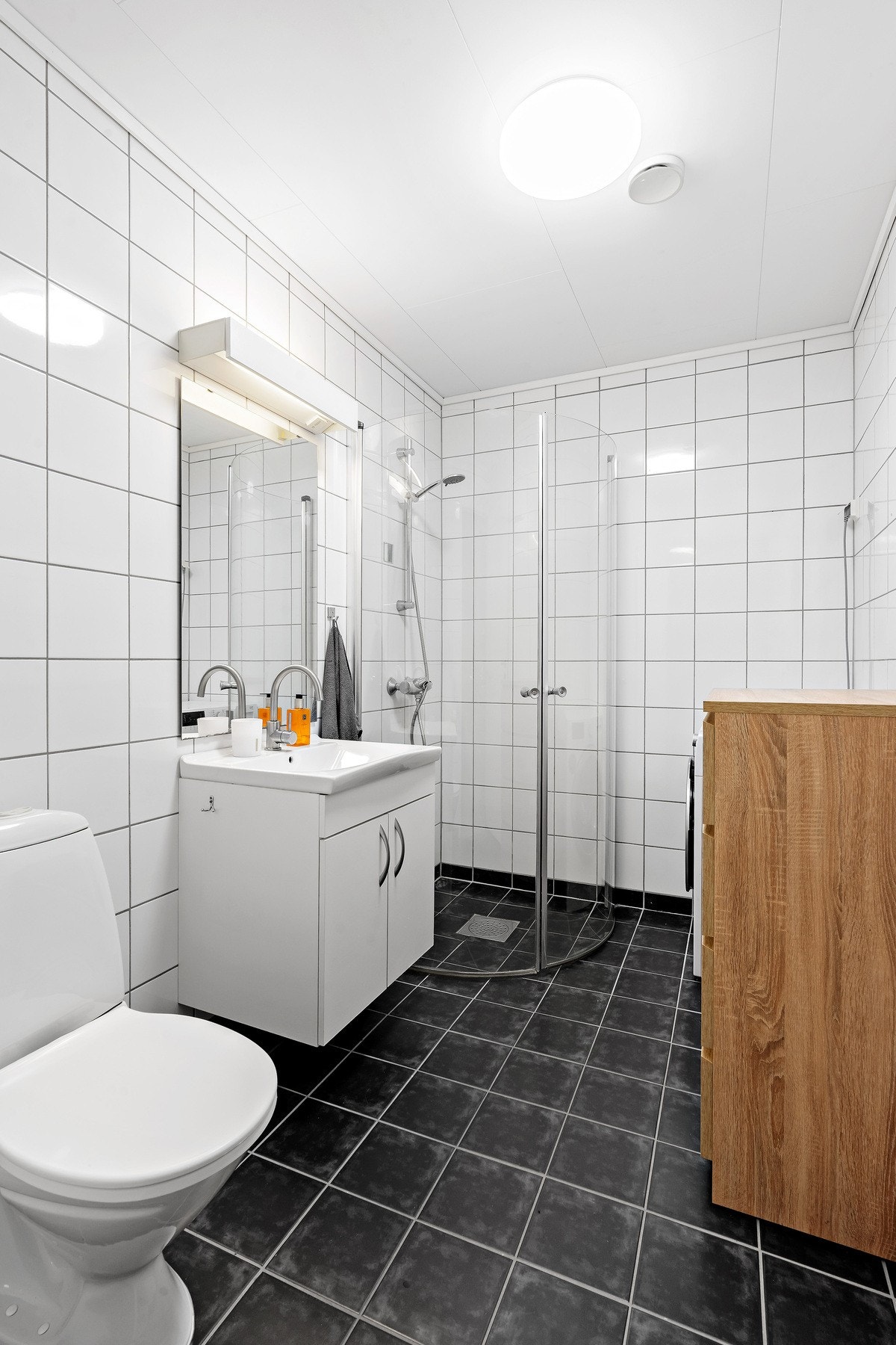 Toalett Galleribilde