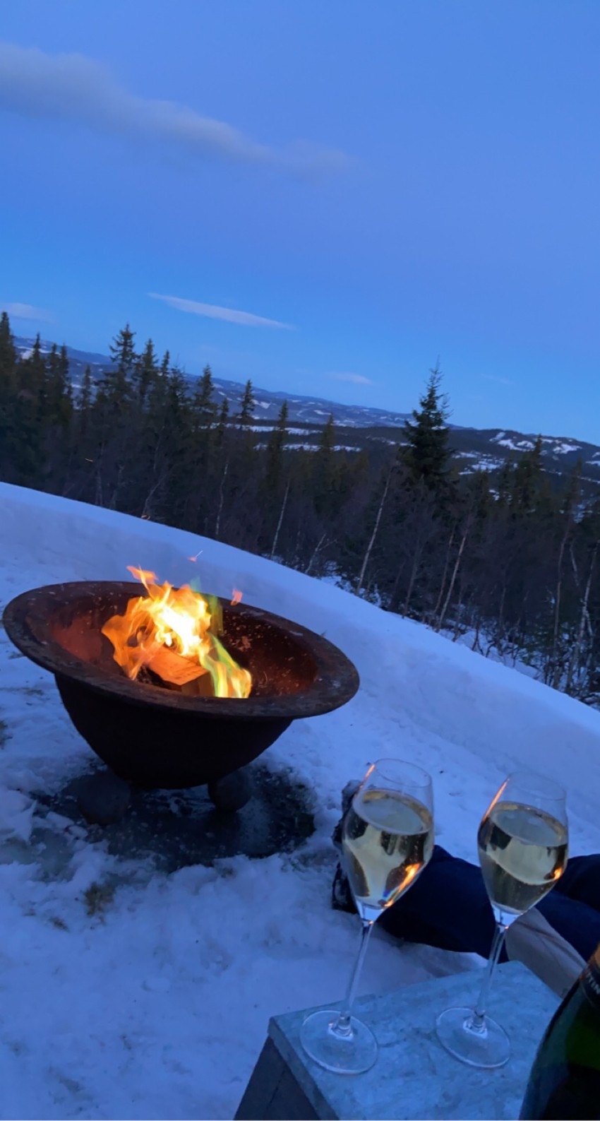 Selgers eget bilde Galleribilde