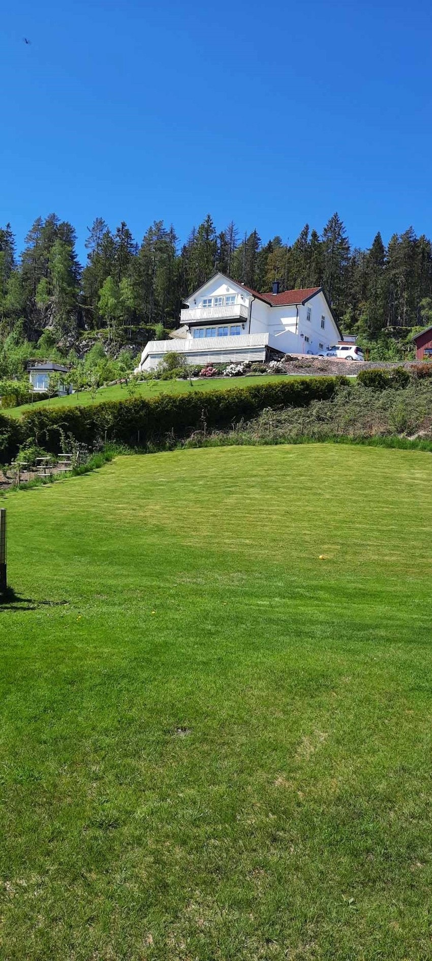 Tidligere bilder Galleribilde