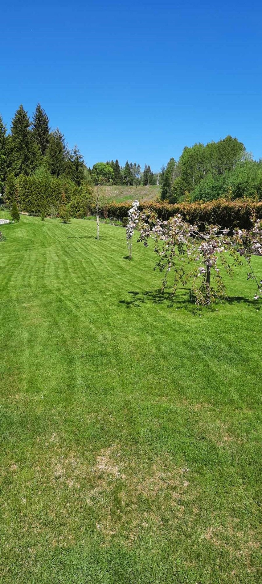 Tidligere bilder Galleribilde