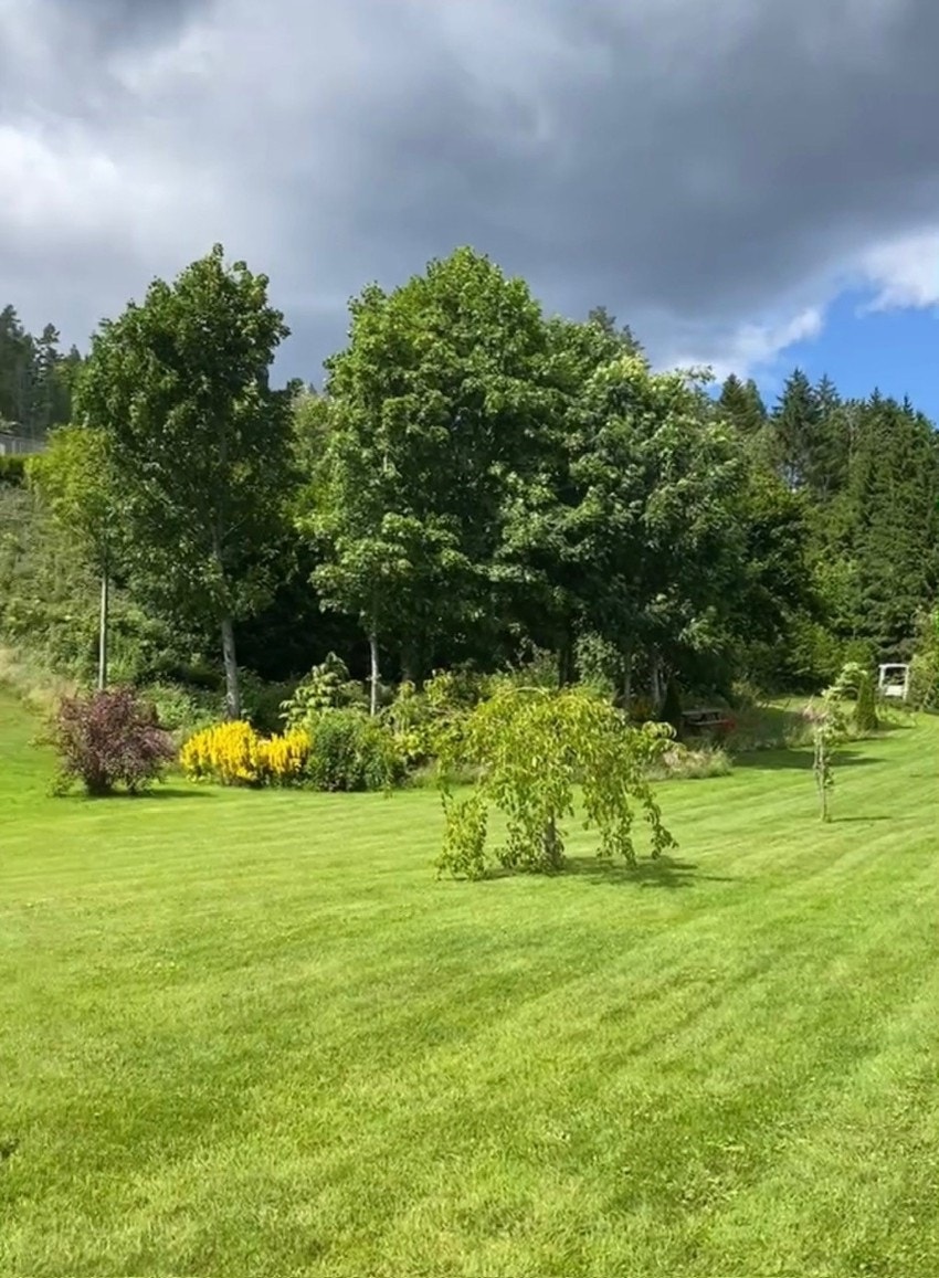 Tidligere bilder Galleribilde