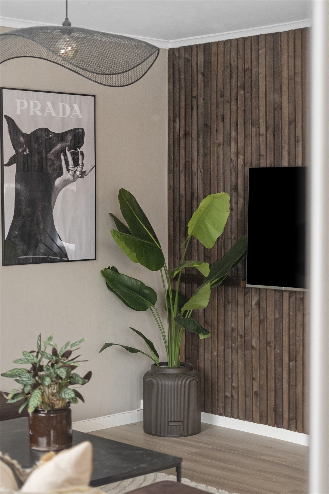 TV-krok Galleribilde