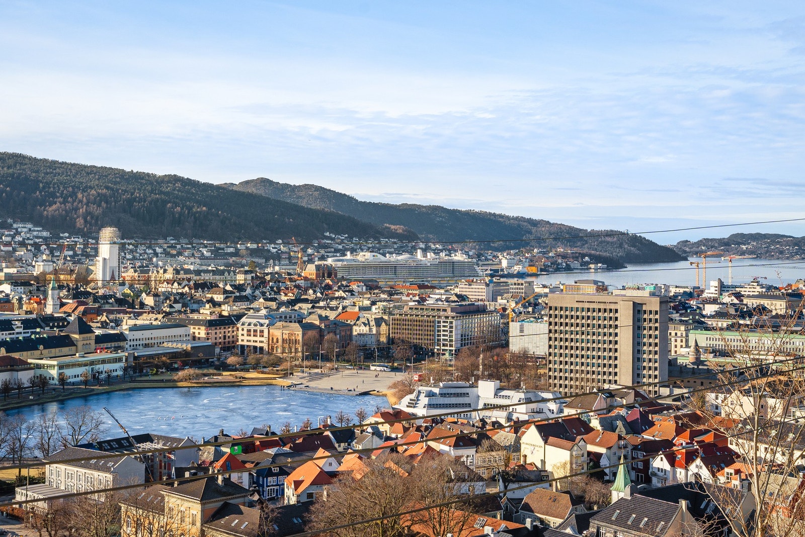 I området har du et bredt utvalg dagligvarebutikker, restauranter, senter og kollektiv transport. Galleribilde