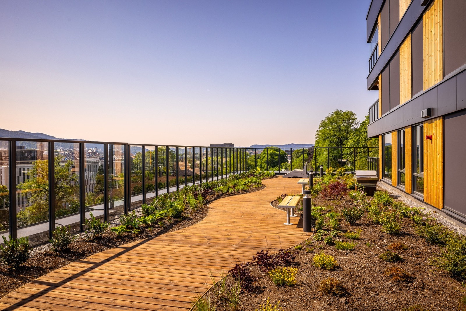 - Koselig felles takterrasse på plan 8 - Galleribilde