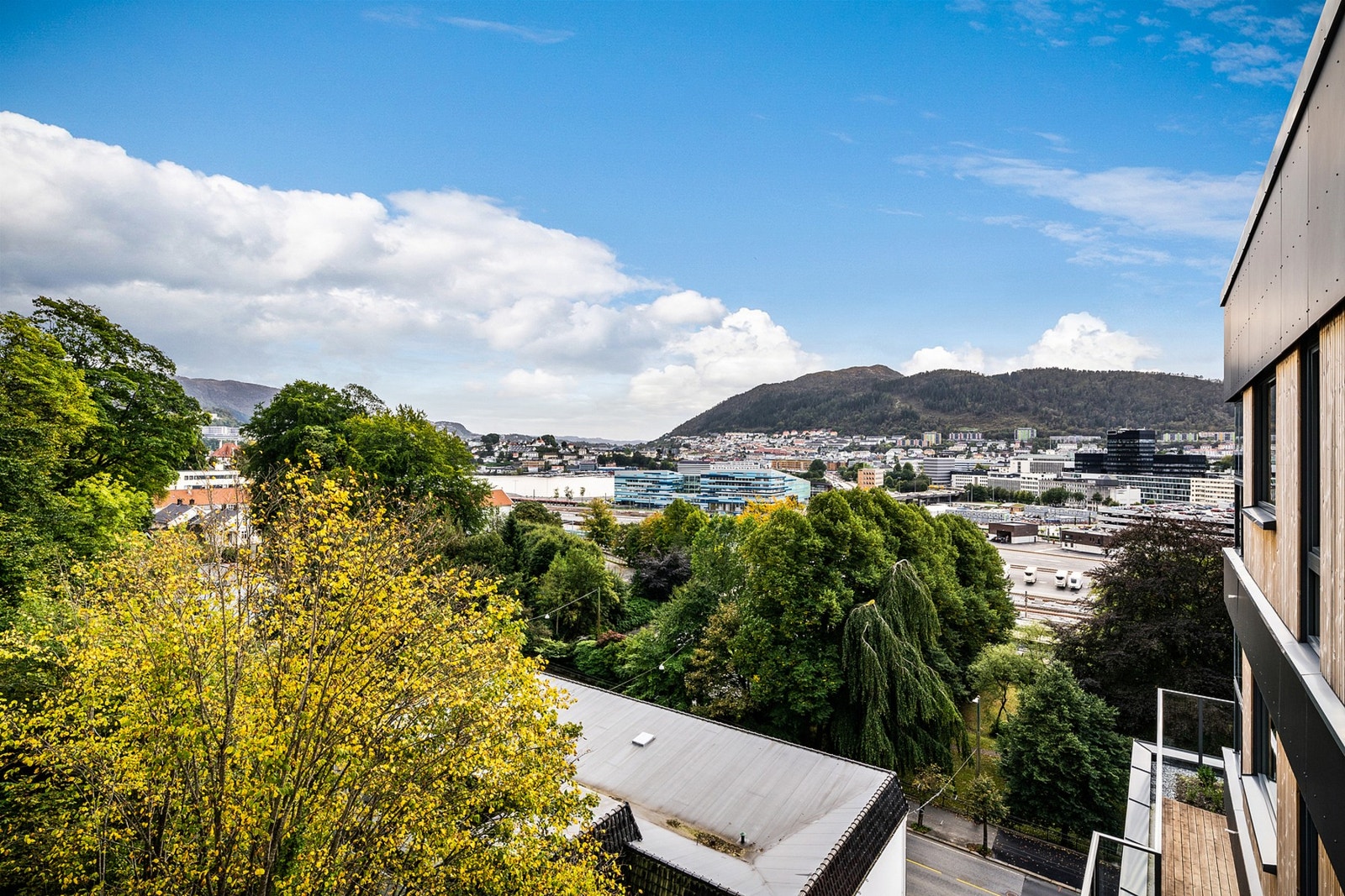 - Fin utsikt mot Løvstakken og deler av Store Lungegårdsvann - Galleribilde