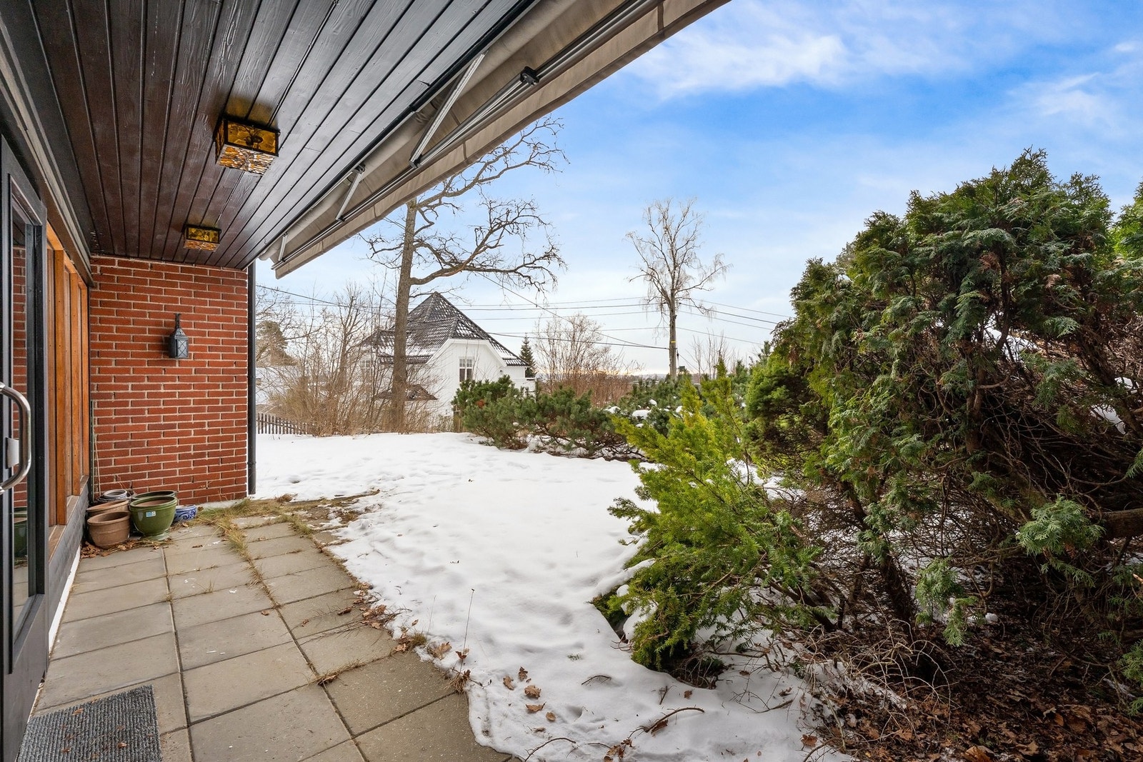 Fine trær og fuglekvitter i hagen. Galleribilde