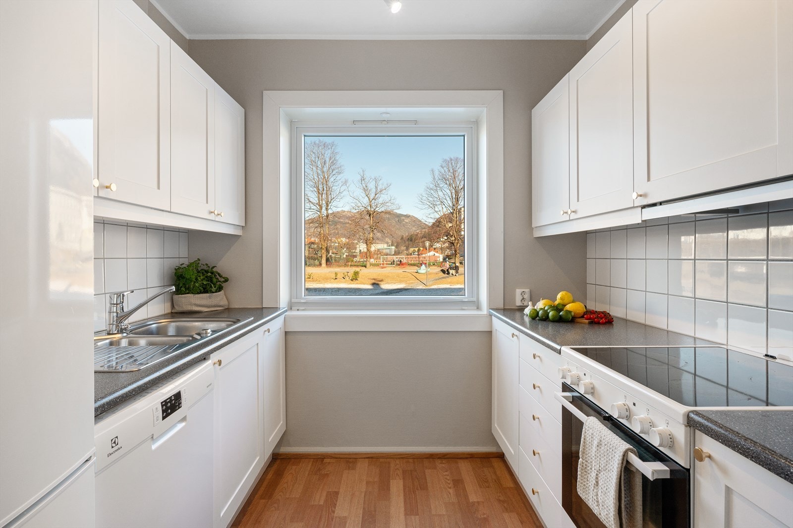 - Opplegg for hvitevarer - Galleribilde