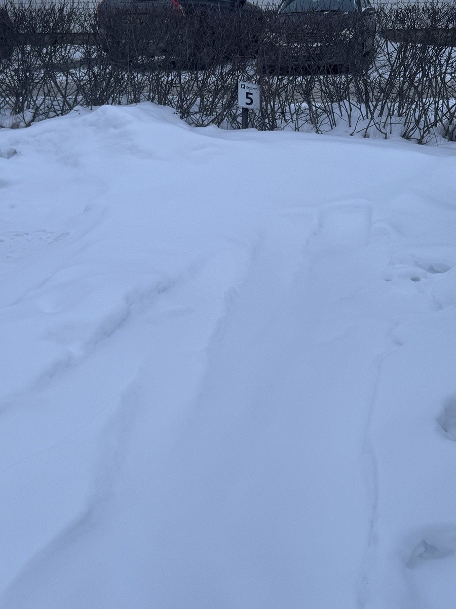 Parkeringsplass Galleribilde