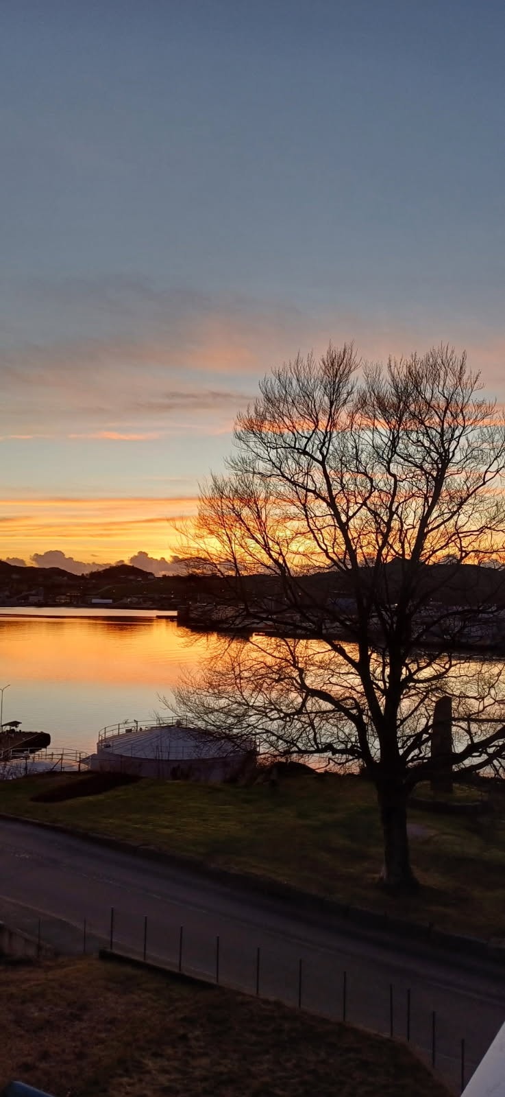 Nydelig kveldsbilde Galleribilde