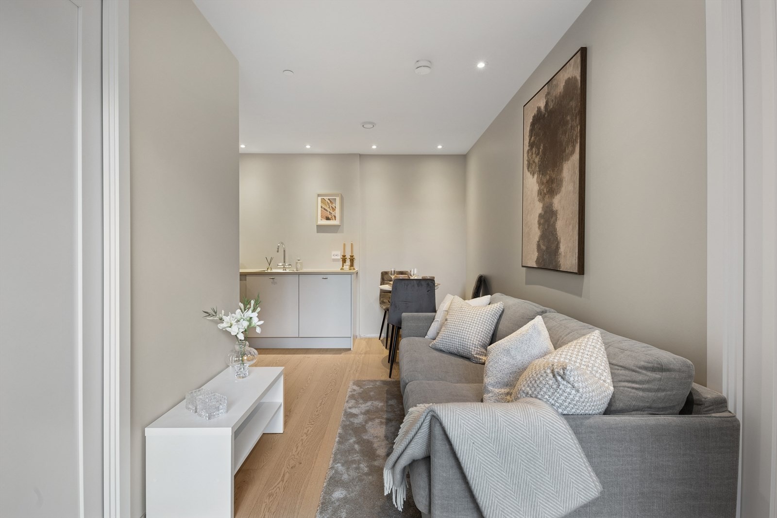 Tv og internett er inkludert i felleskostnader. Galleribilde