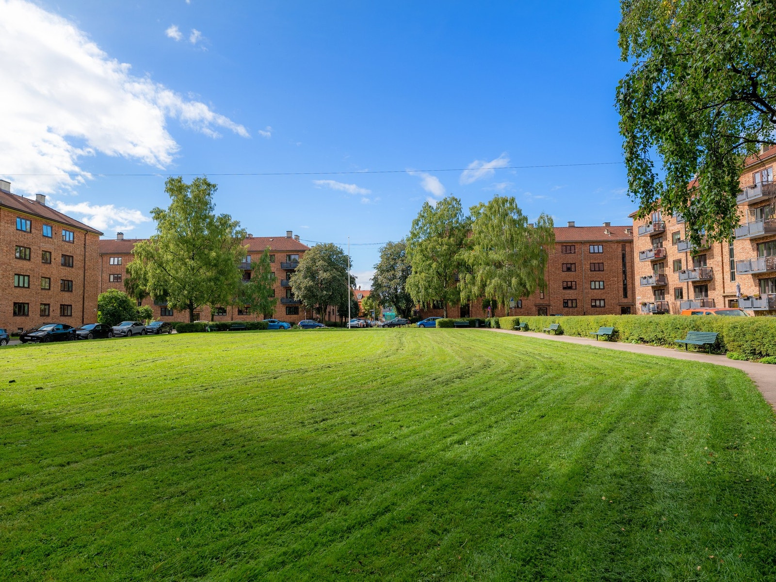 Uteområde. Galleribilde