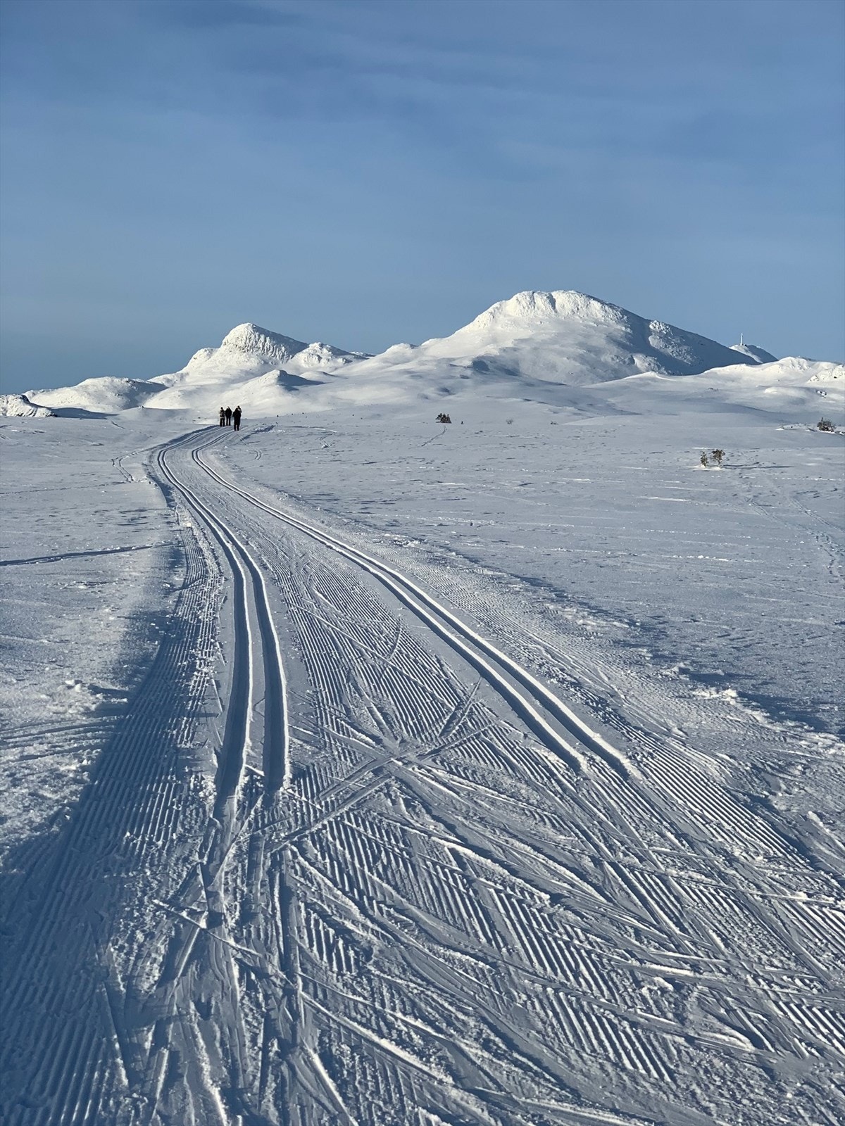Tuddal ligger på solsiden av Telemarks høyeste fjell, Gaustatoppen (1883 moh.). Området kan tilby fine naturopplevelser og flott turterreng både sommer og vinter. Til fots eller på ski kan man gå både til Gaustakne og Gaustadtoppen. Galleribilde