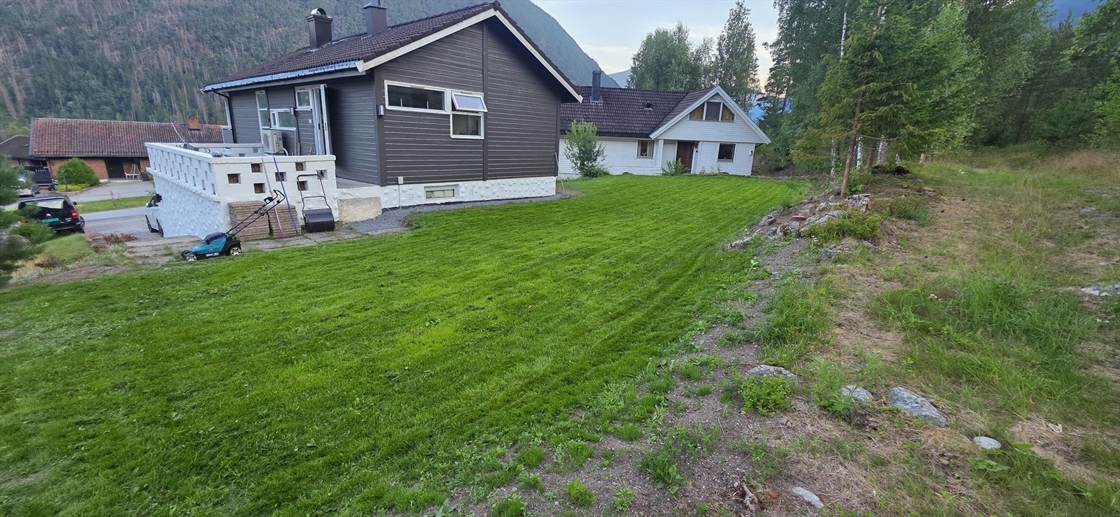 Det er etablert fin plen på baksiden av boligen (privat foto) Galleribilde