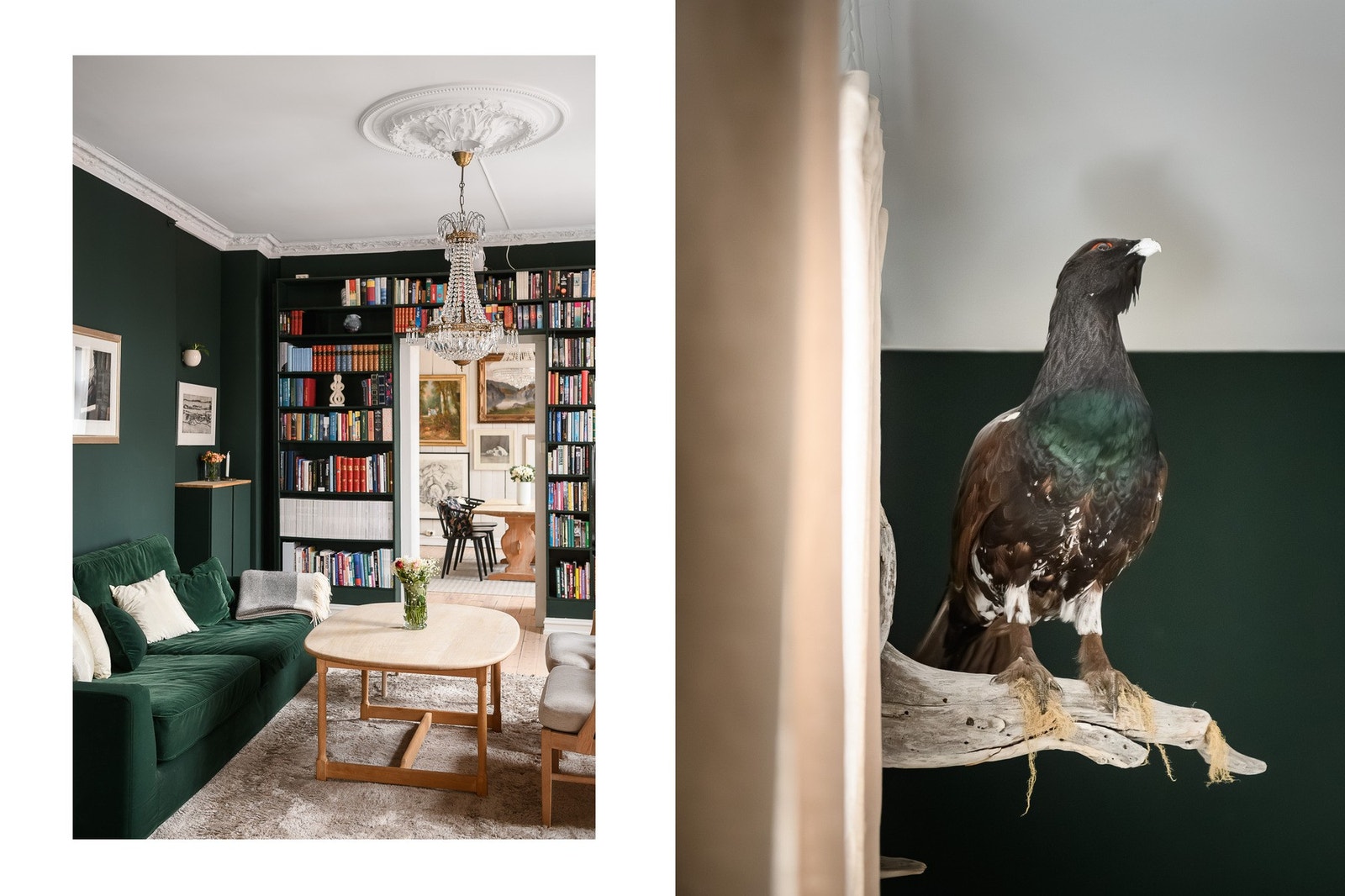 Selgers utstoppede tiur medfølger ikke salget. Galleribilde