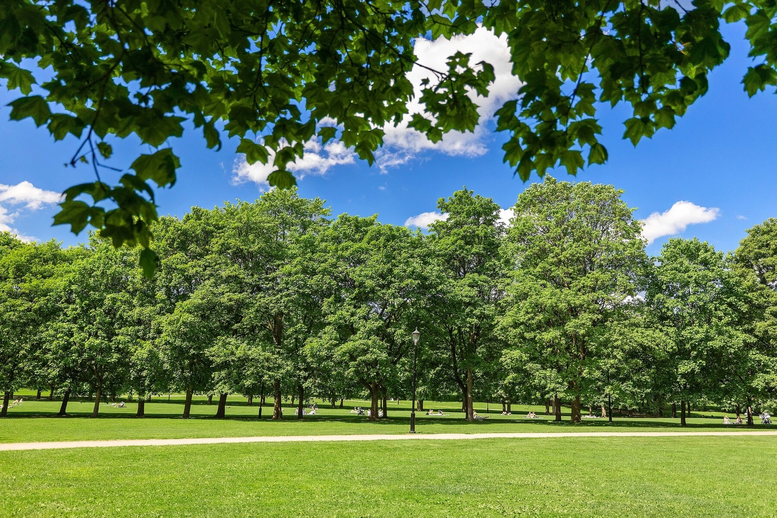 Flotte rekreasjonsmuligheter i idylliske Frognerparken Galleribilde