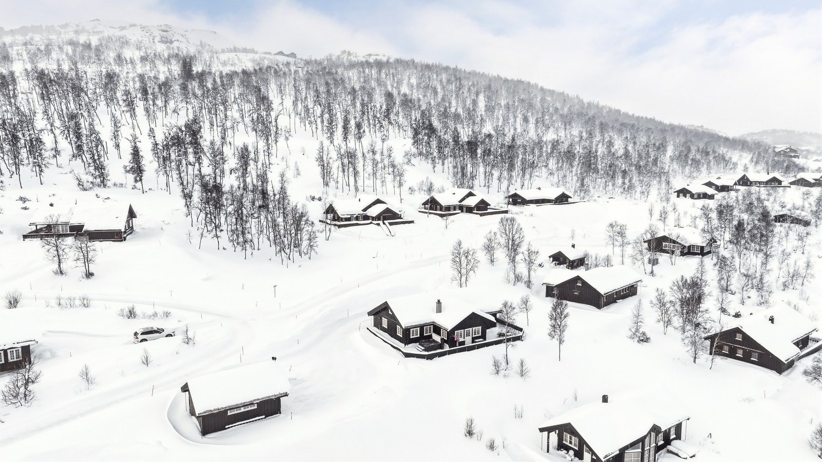 Velkommen til visning! Galleribilde