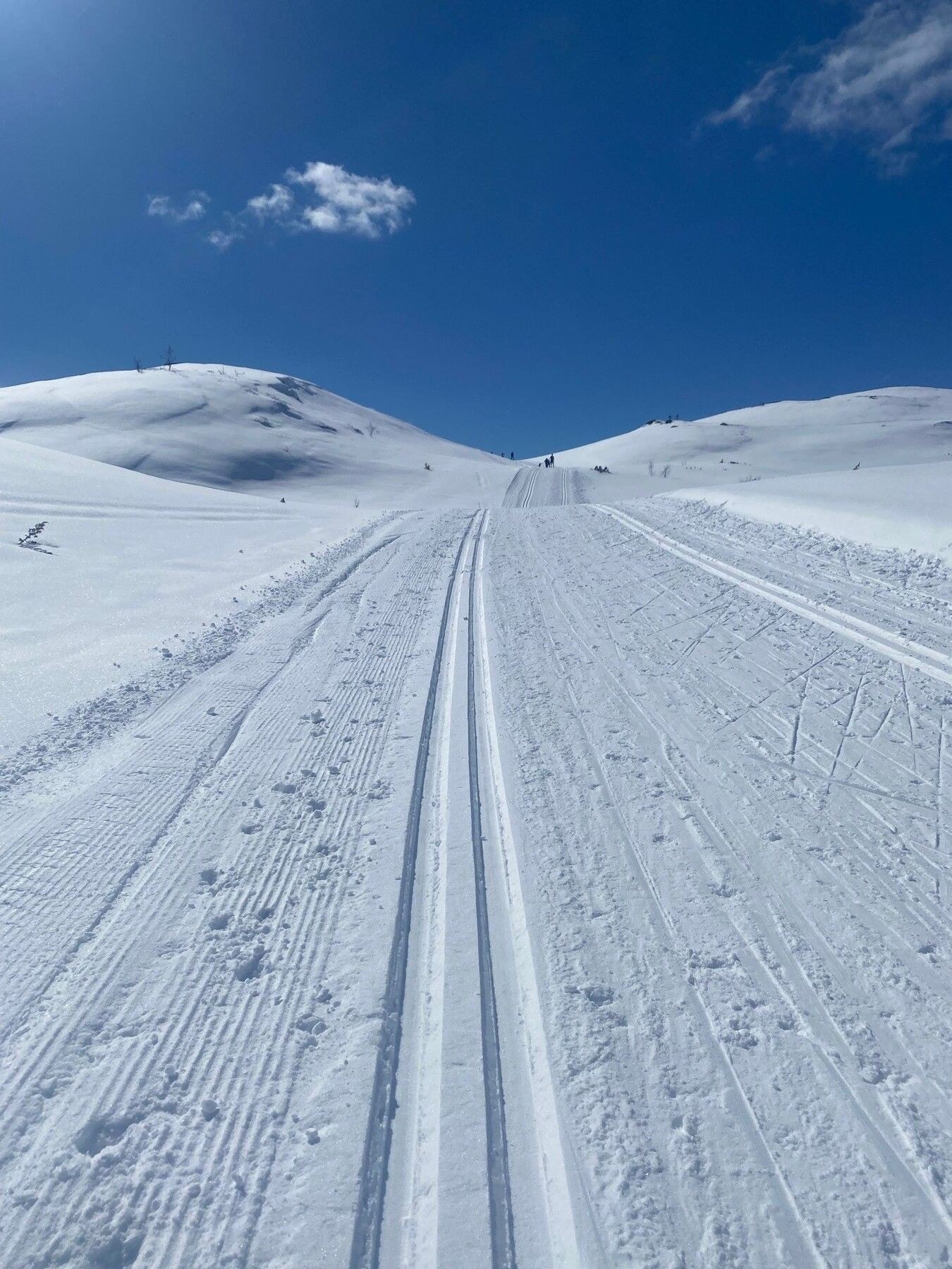 Rauland kan by på over 150 km med preparerte langrennsløyper som prepareres daglig gjennom sesongen Galleribilde