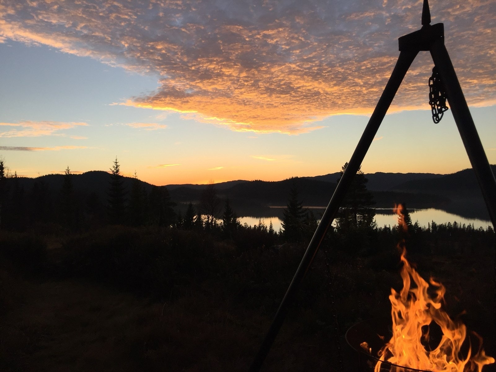 Privat foto Galleribilde