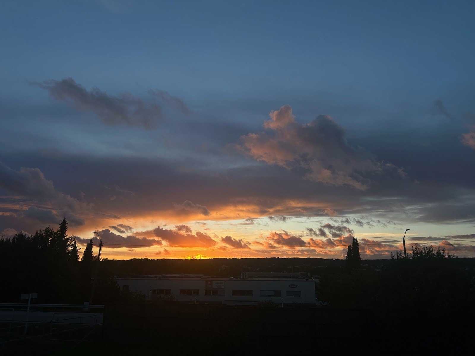 Selgers private bilder Galleribilde