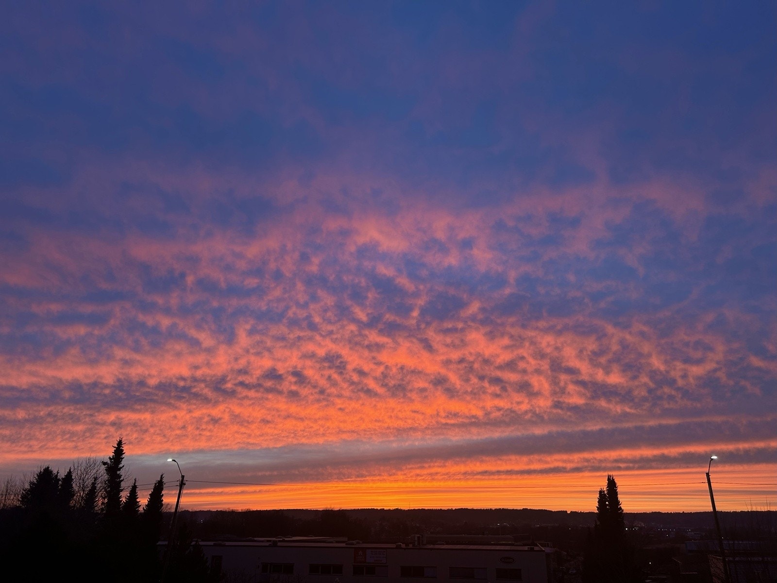 Selgers private bilder Galleribilde