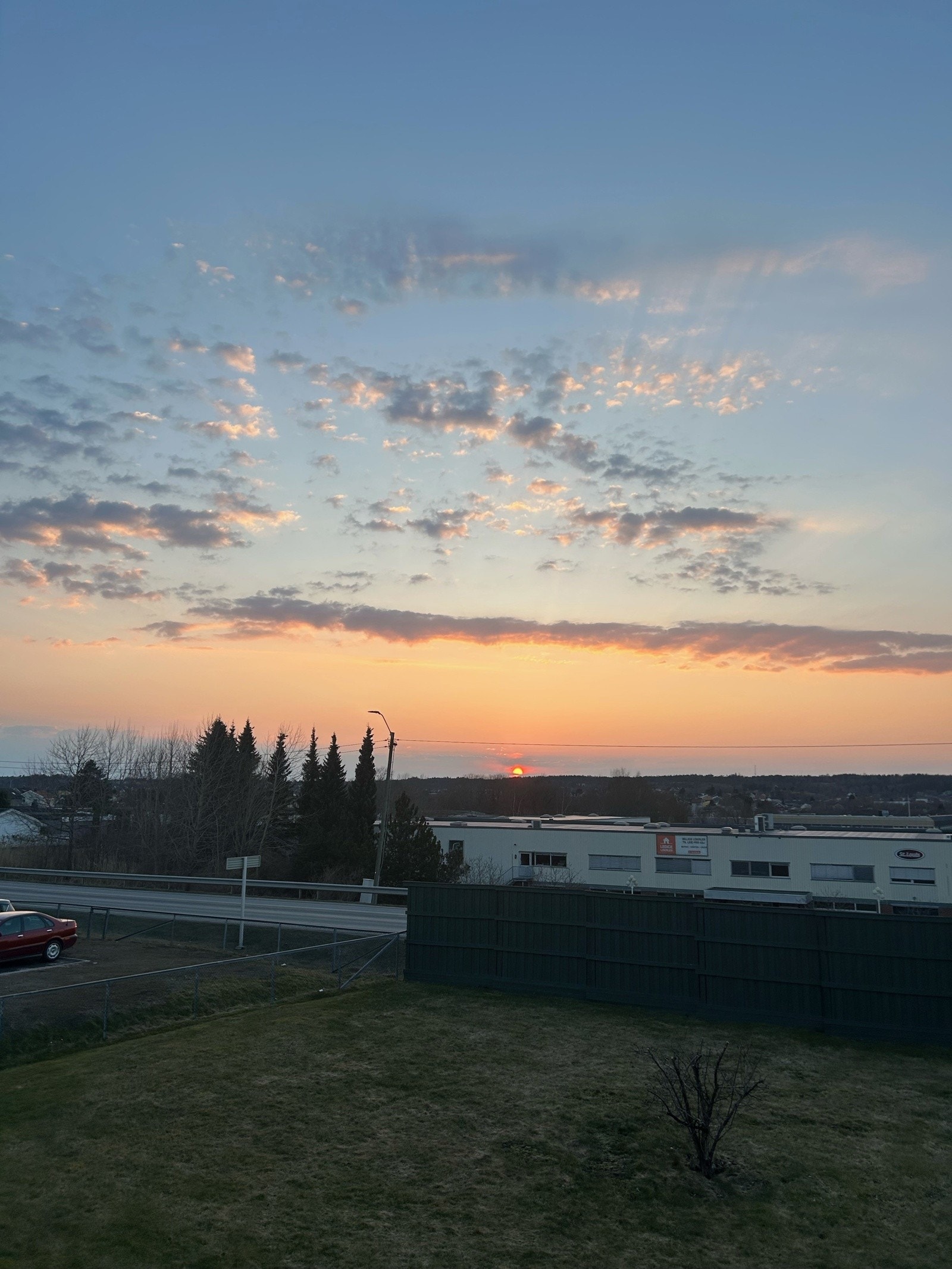 Selgers private bilder Galleribilde