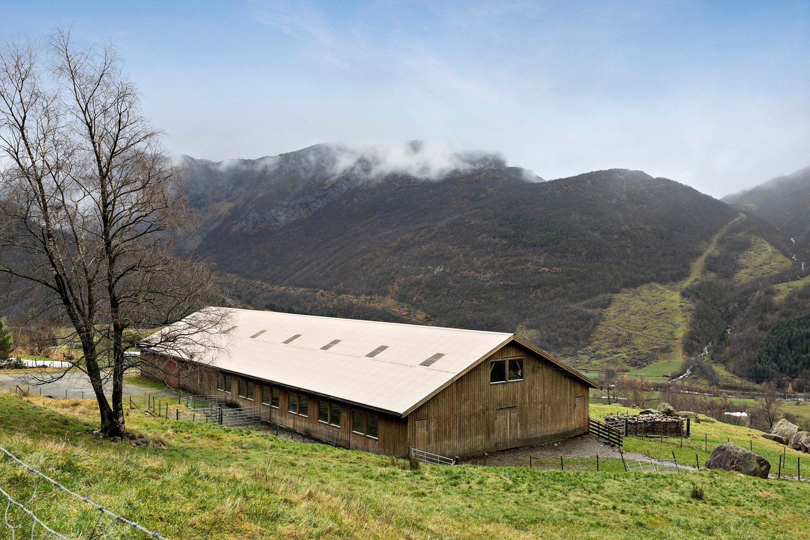 Omradebilde Galleribilde