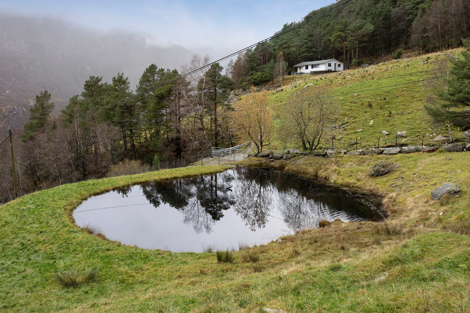 Omradebilde Galleribilde