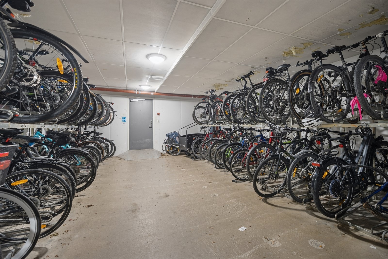 Sykkelbod. Galleribilde