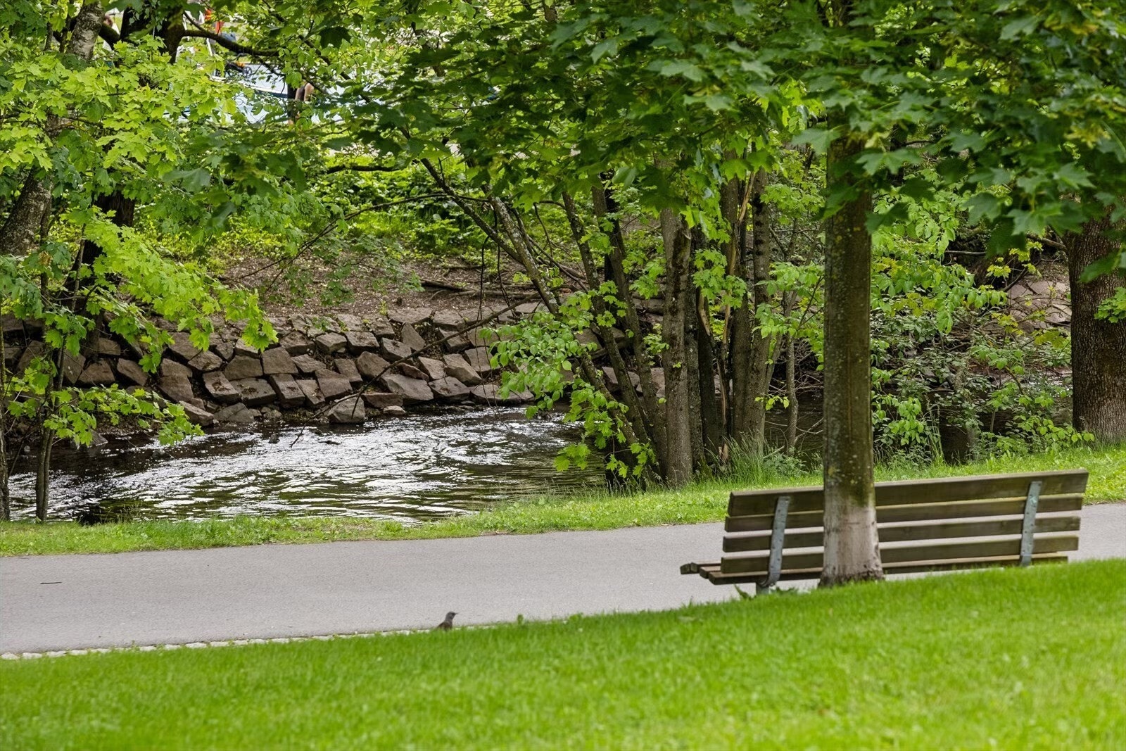 Akerselva rett i umiddelbar nærhet. Galleribilde
