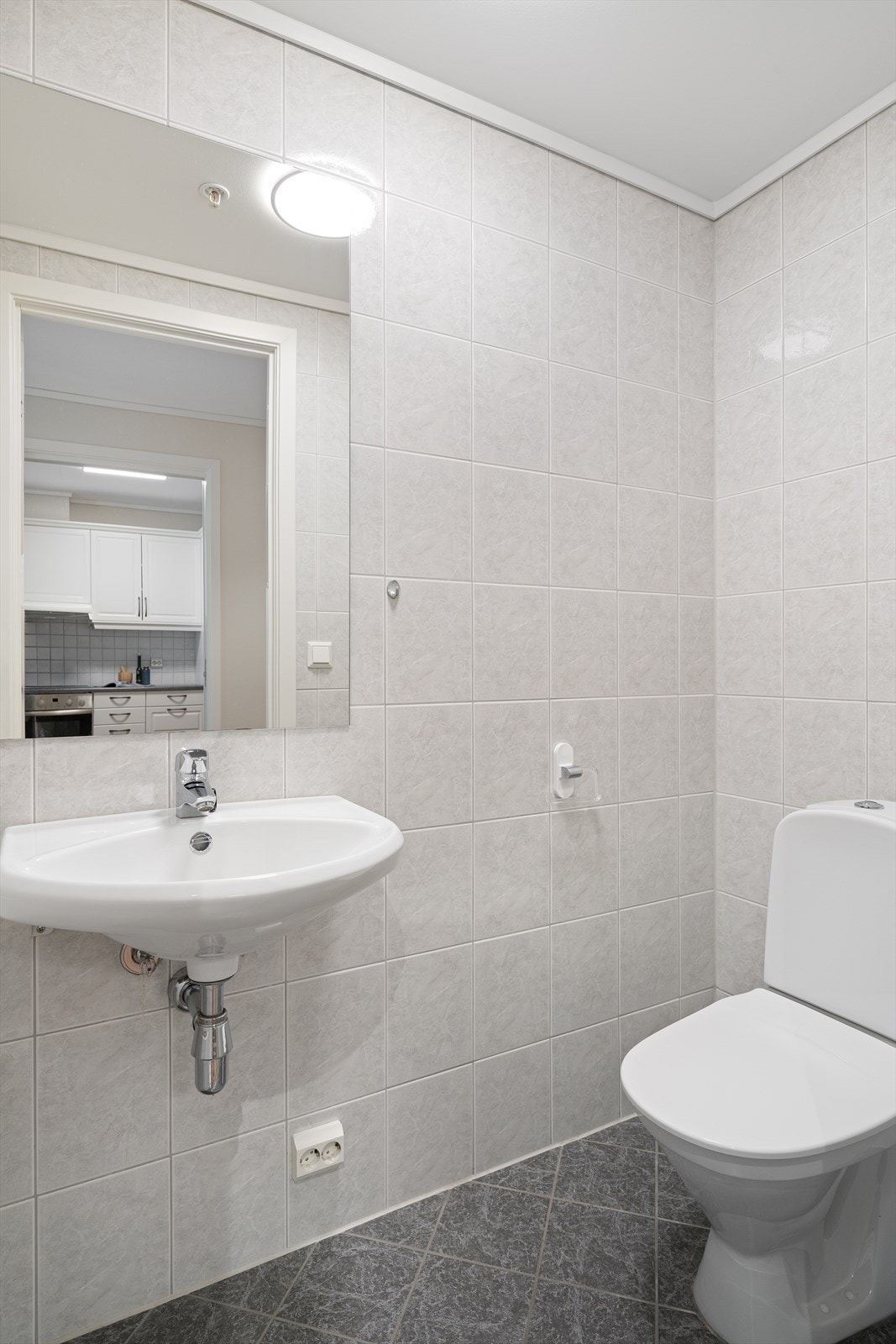 Gjestetoalett. Galleribilde