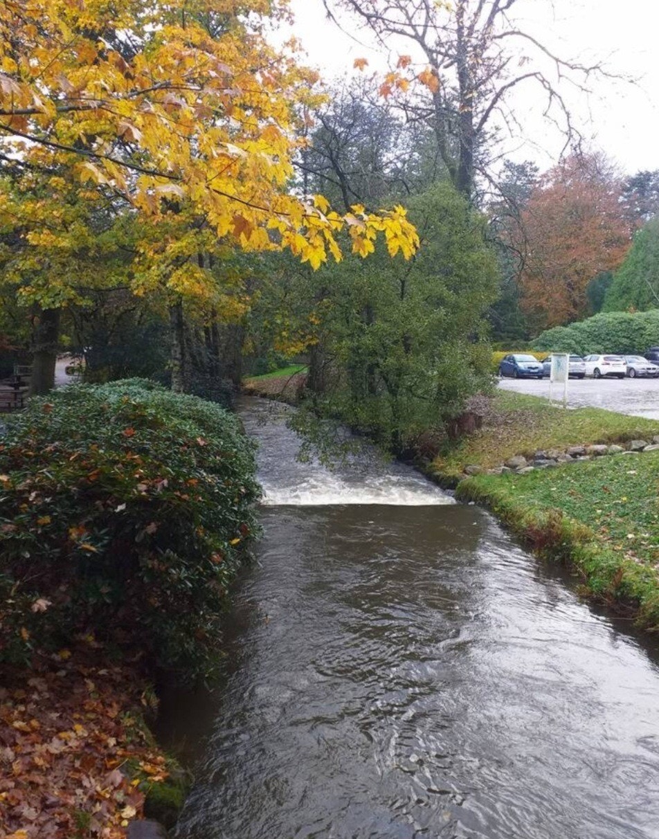 Vakre Sandvedparken turområde ligger kun 10 min gåavstand fra leiligheten. Galleribilde