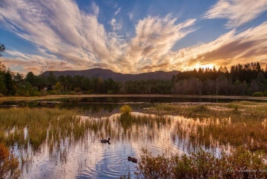 Mange flotte turområdet i nærheten, for trening og rekreasjon. Galleribilde