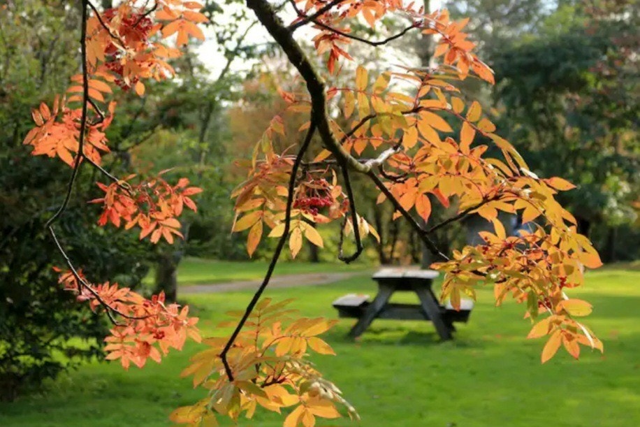Vakre Sandvedparken turområde ligger kun 10 min gåavstand fra leiligheten. Galleribilde
