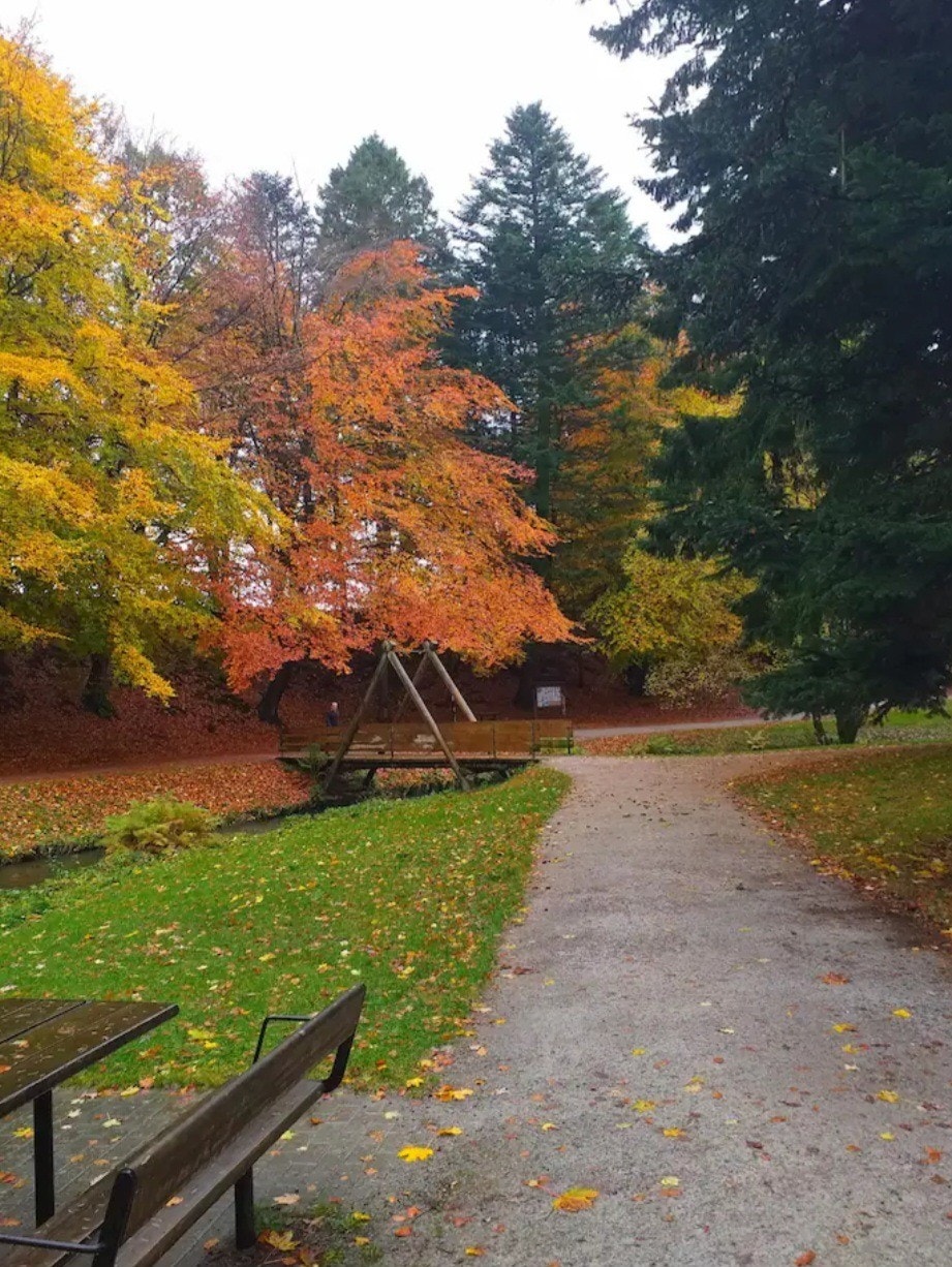 Vakre Sandvedparken turområde ligger kun 10 min gåavstand fra leiligheten. Galleribilde
