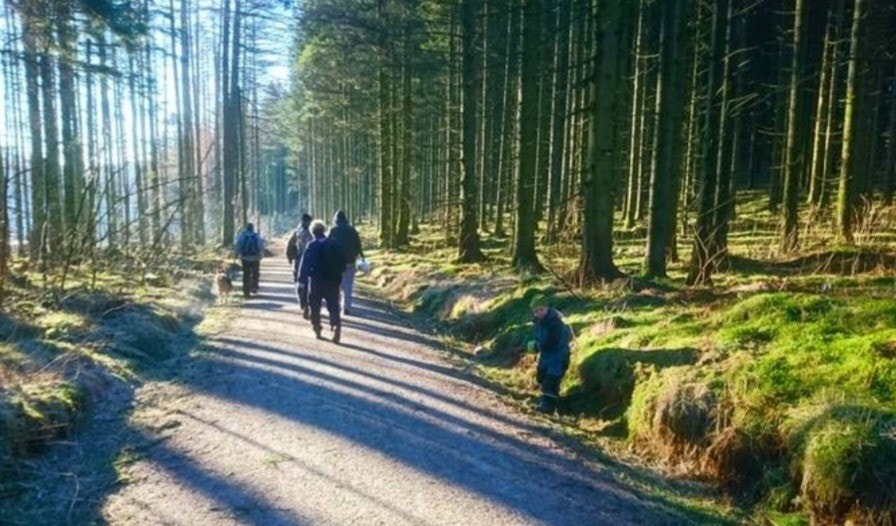 Mange flotte turområdet i nærheten, for både trening og rekreasjon. Galleribilde