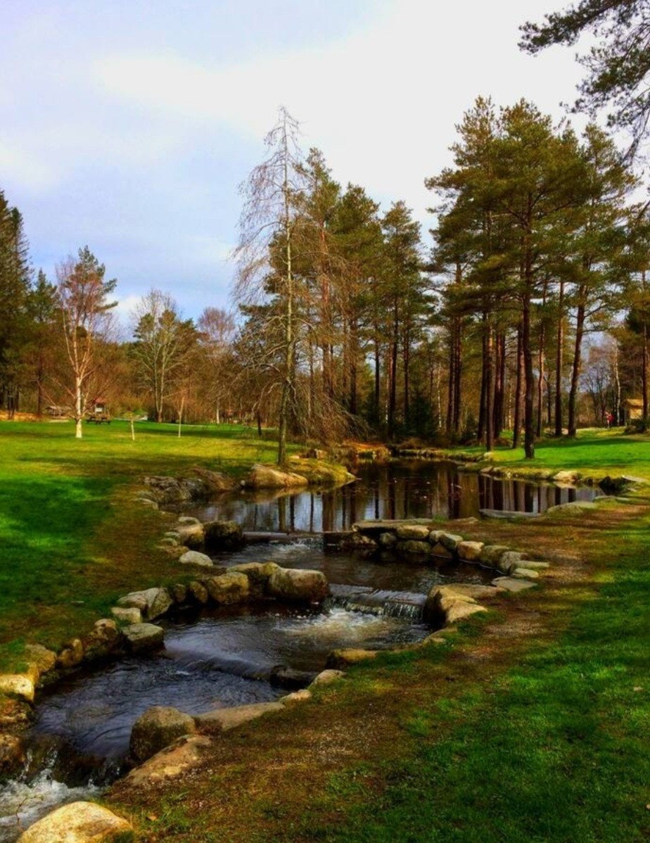 Mange flotte turområdet i nærheten, for både trening og rekreasjon. Galleribilde
