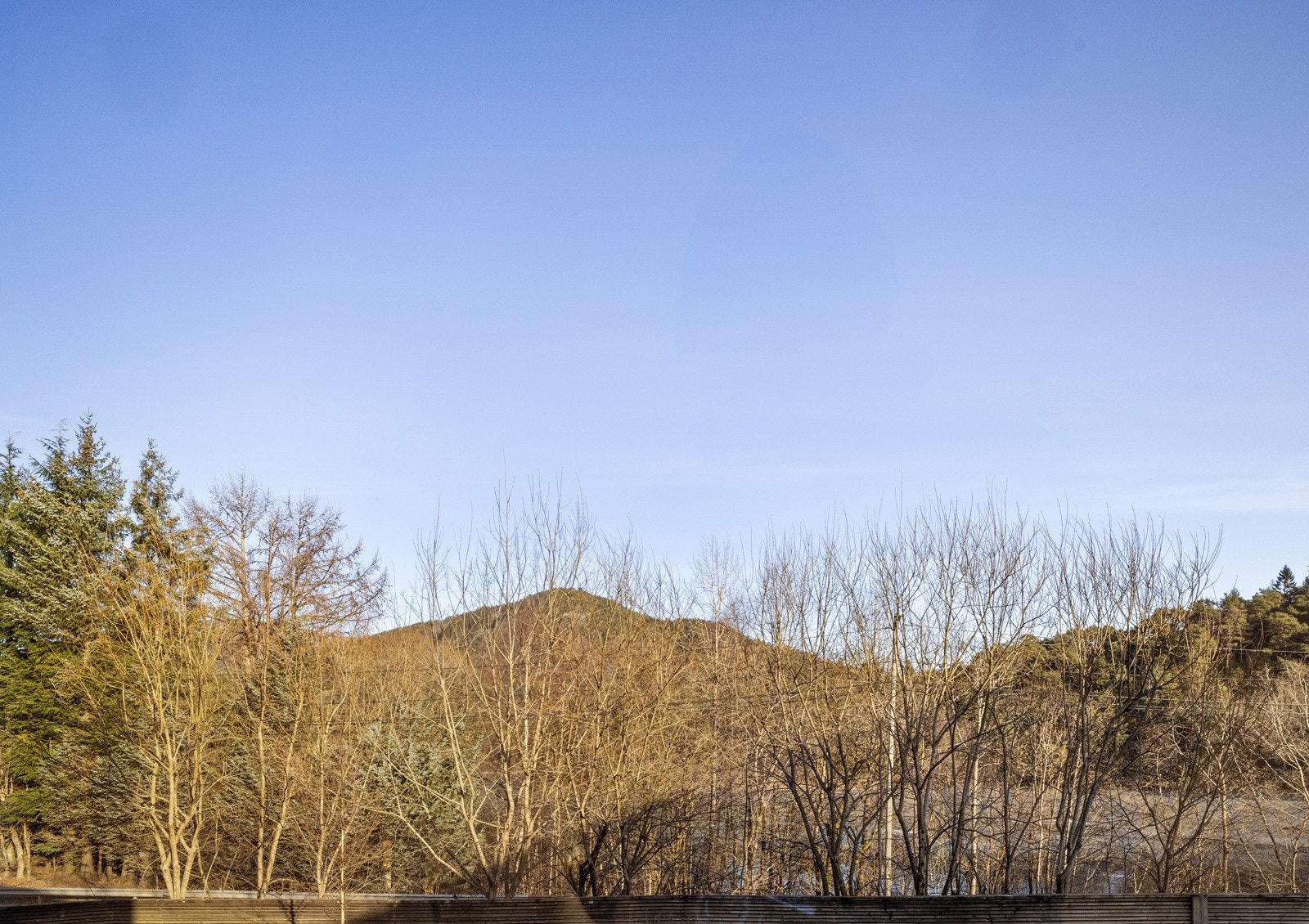 Utsikt fra boligen, Borgafjellet. Galleribilde
