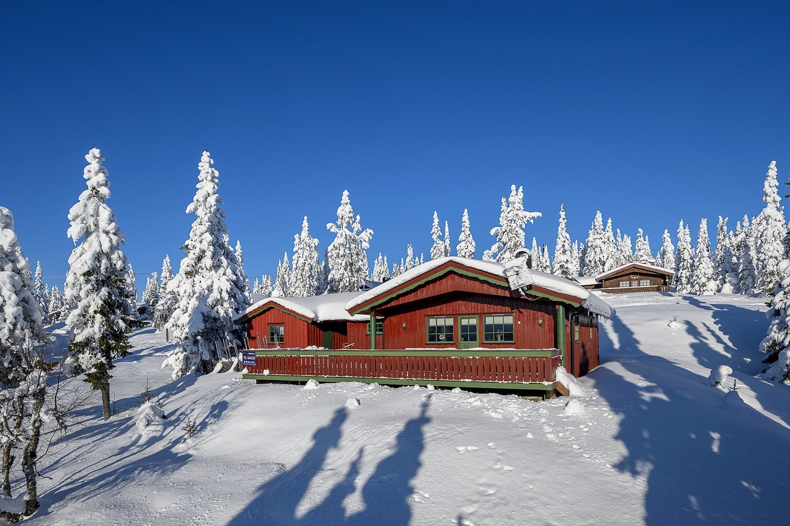 Tomten rundt hytta er delvis skrånende. Eiendommen ligger forholdvis skjermet for direkte innsyn. Galleribilde